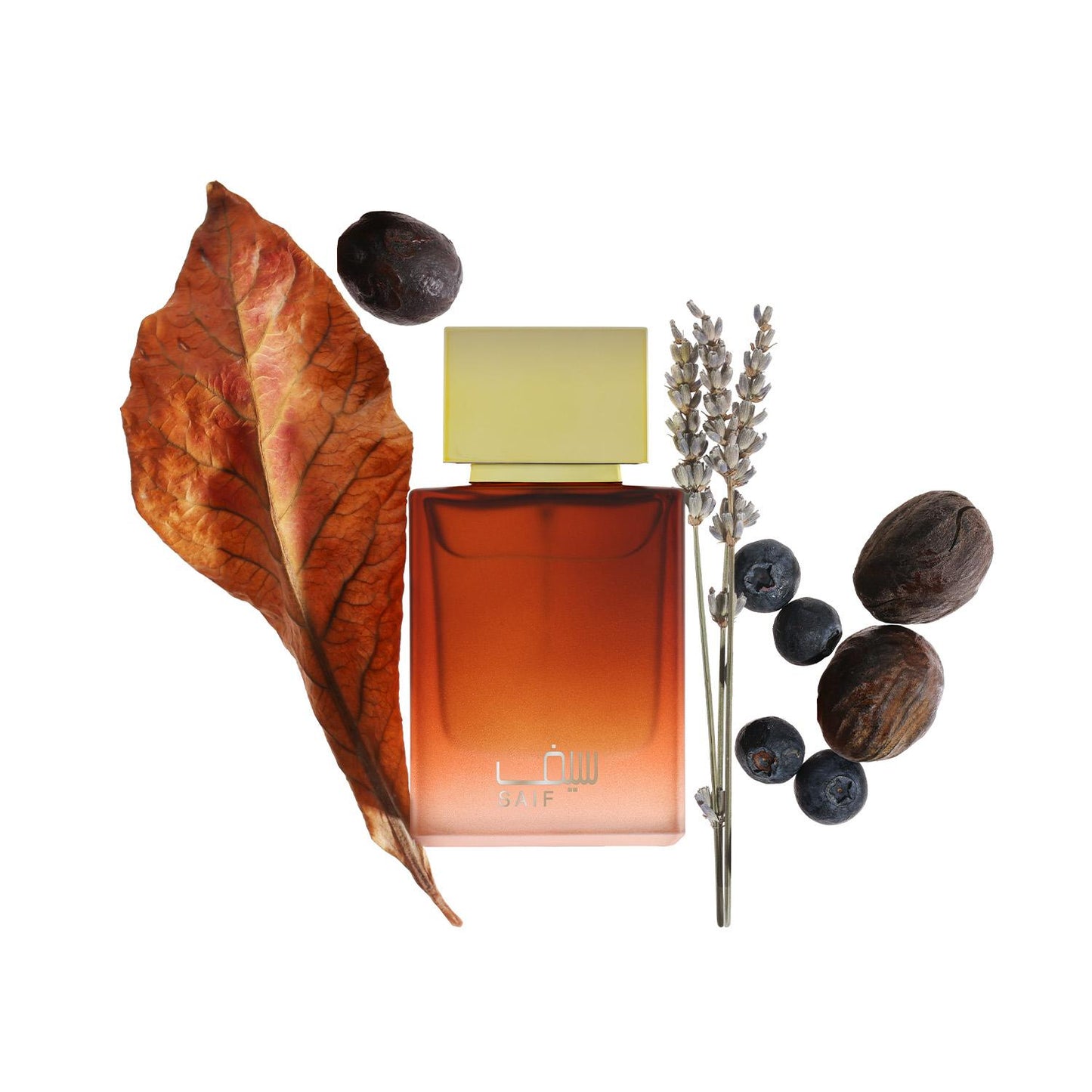 SAIF AHMED AL MAGHRIBI 50ml